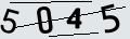 verifycode